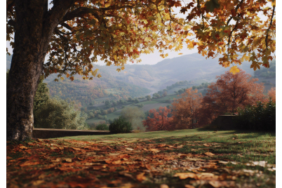 Фототапет Есенна панорама с дърво 